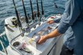 Beneteau Antares 8 V2 Fishing