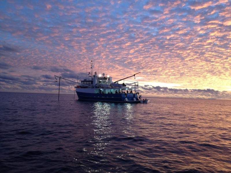 Iron Joy Charters - Offshore extended fishing