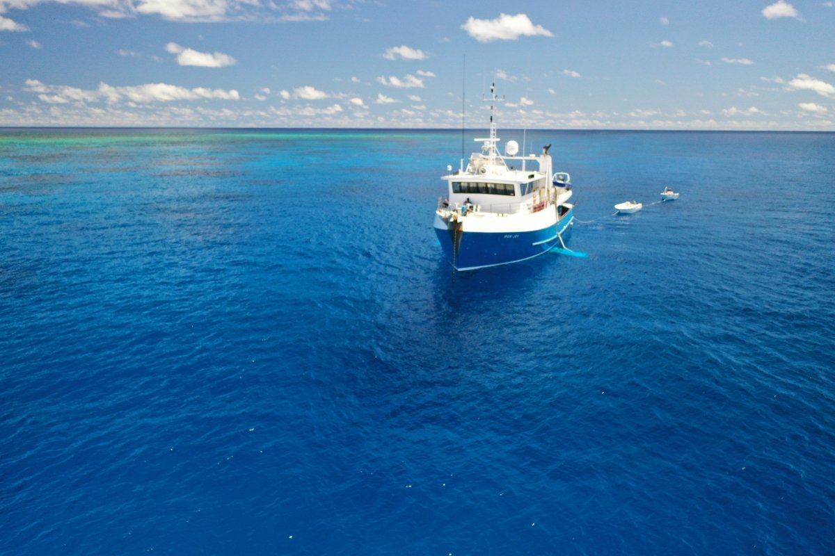 Iron Joy Charters - Offshore extended fishing