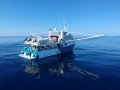 Iron Joy Charters - Offshore extended fishing