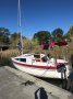 Noelex 25