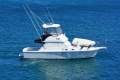 Caribbean 35 Flybridge Cruiser Caribbean 35 Flybridge Cruiser