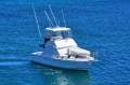 Caribbean 35 Flybridge Cruiser Caribbean 35 Flybridge Cruiser