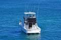 Caribbean 35 Flybridge Cruiser Caribbean 35 Flybridge Cruiser