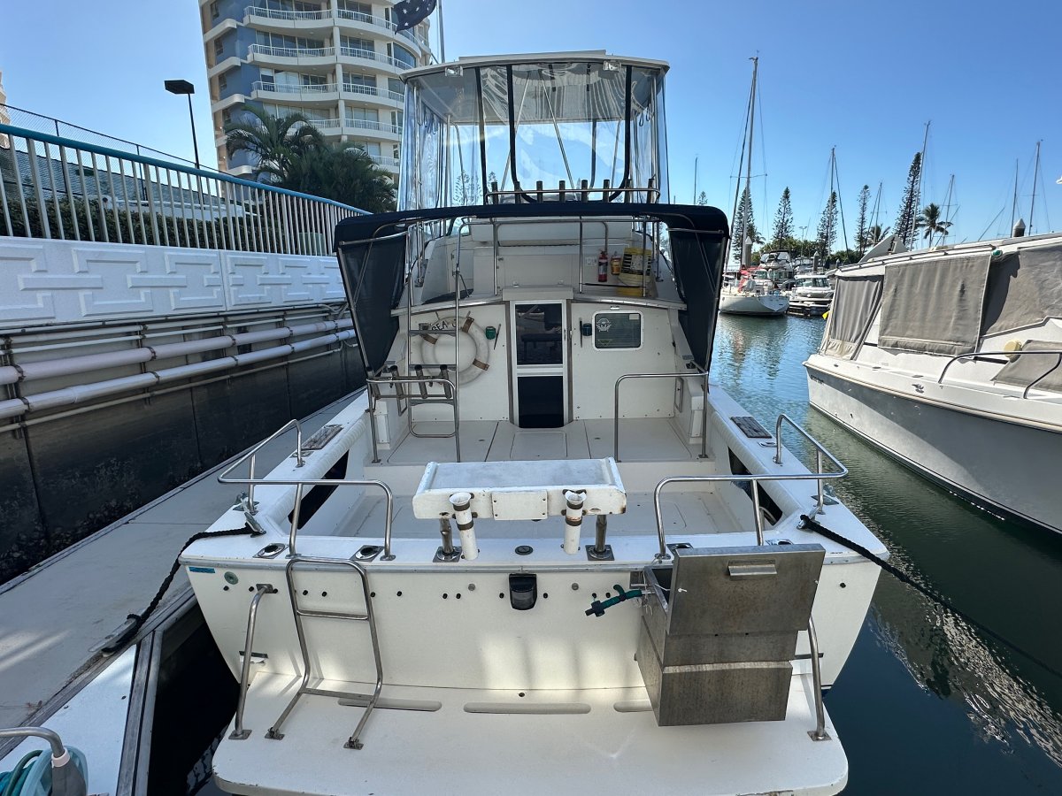 Bertram 28 Flybridge