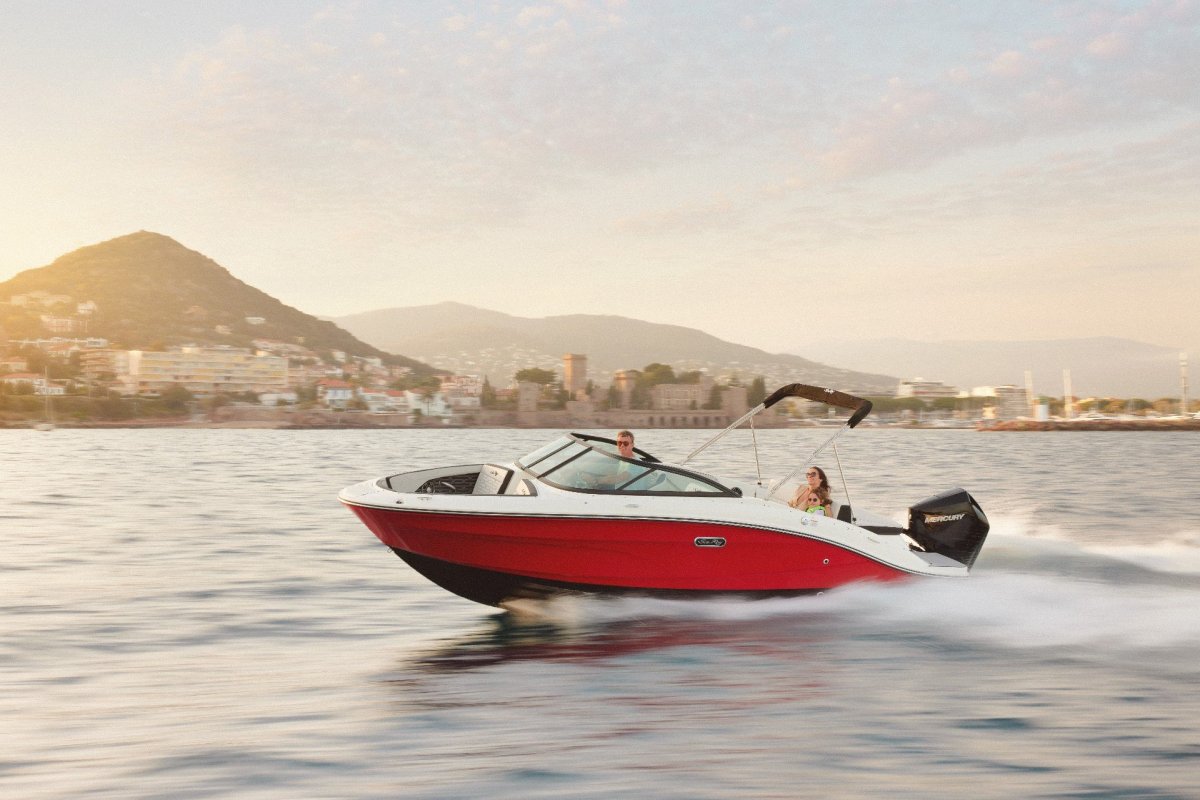 Sea Ray 210 SPX OB