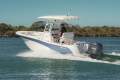New Sea Fox 228 Commander