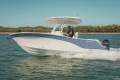New Sea Fox 228 Commander
