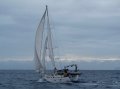 Ganley Solution Steel Offshore Cruising Yacht