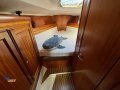 Dufour 38 Classic:DREAMCATCHER