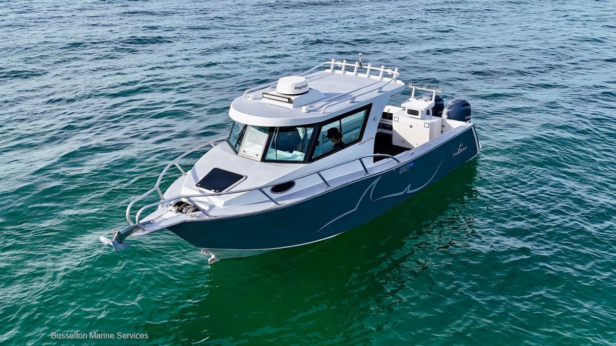 Chivers Great White Price Reduced