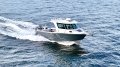 Chivers Great White Price Reduced