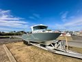 Chivers Great White Price Reduced