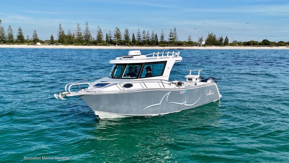 Chivers Great White Price Reduced