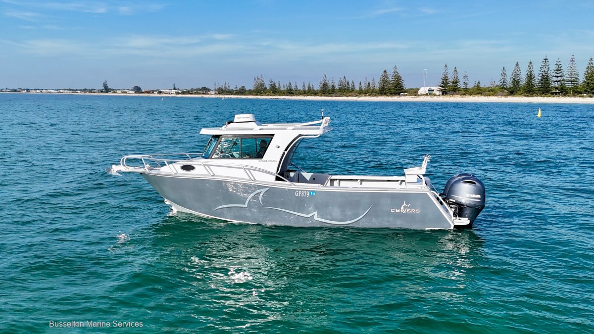 Chivers Great White Price Reduced