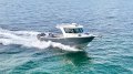 Chivers Great White Price Reduced