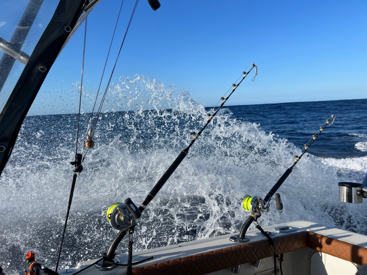 Trophy 2002 Walkaround Pro Model Custom Game Fisher Trailer Boats