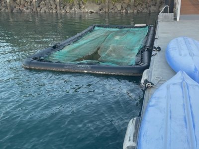 2019 SeaPen with new submersible pump 