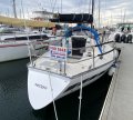 Holland 25 Yacht
