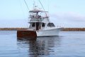 Assegai 40 with Current 2B and 2D Survey