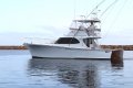 Assegai 40 with Current 2B and 2D Survey