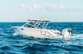 Robalo R317 Dual Console