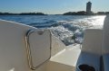 Chaparral 244 Sunesta