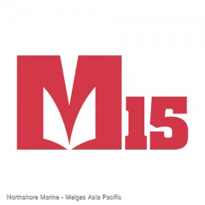 Melges 15 Dinghy Sailboat:Melges 15
