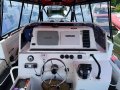 Woody 1200 Tourism Business