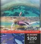 Woody 1200 Tourism Business