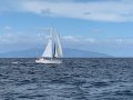 Ganley Solution New Zealand registered ship