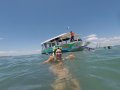 Eco Tour Business - Hervey Bay