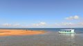 Eco Tour Business - Hervey Bay
