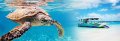 Eco Tour Business - Hervey Bay