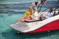 New Sea Ray 210 SPX