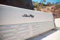 New Sea Ray 210 SPX
