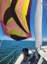 Seawind 1000