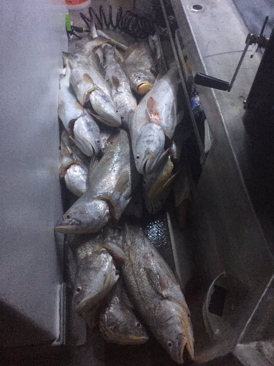 Northern Territory Coastal Line Fishery Licence - Access to Western Zone