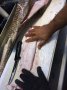 Northern Territory Coastal Line Fishery Licence - Access to Western Zone
