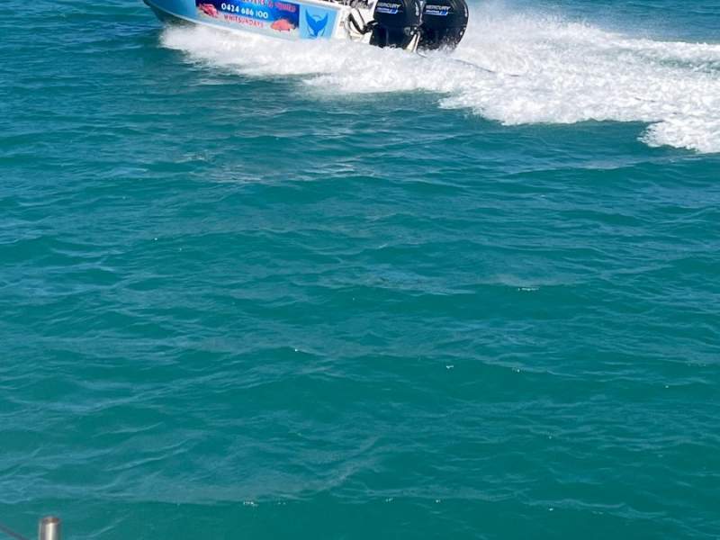 Whitsunday Fishing
