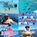 Whitsunday Fishing Charter Business