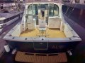 Bertram 35 Flybridge