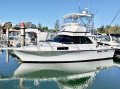 Bertram 35 Flybridge