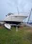 Mustang 3500 Sportscruiser Another Reduced must go owner has health issues