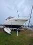 Mustang 3500 Sportscruiser Another Reduced must go owner has health issues