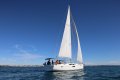 Hanse 505