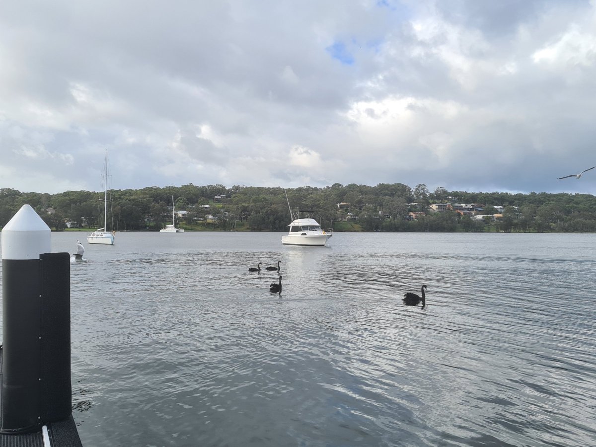 Mariner 31 Flybridge Diesel Twin Shaft Drive Power Boats Boats Online for Sale Fibreglass