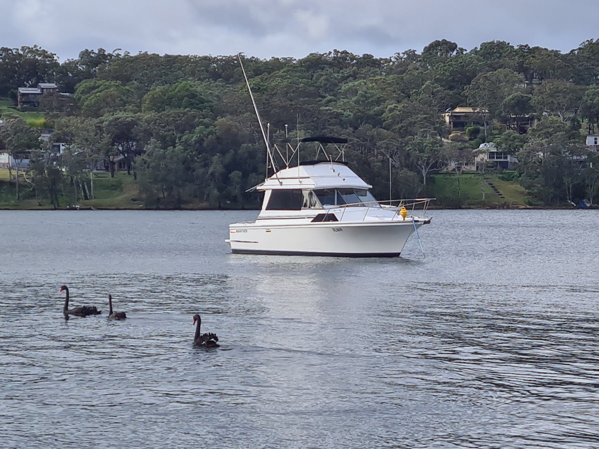 Mariner 31 Flybridge Diesel Twin Shaft Drive Power Boats Boats Online for Sale Fibreglass