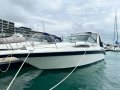 Sea Ray 290 Sundancer Just detailed and with Coogee Pen!!!