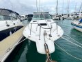 Sea Ray 290 Sundancer Just detailed and with Coogee Pen!!!